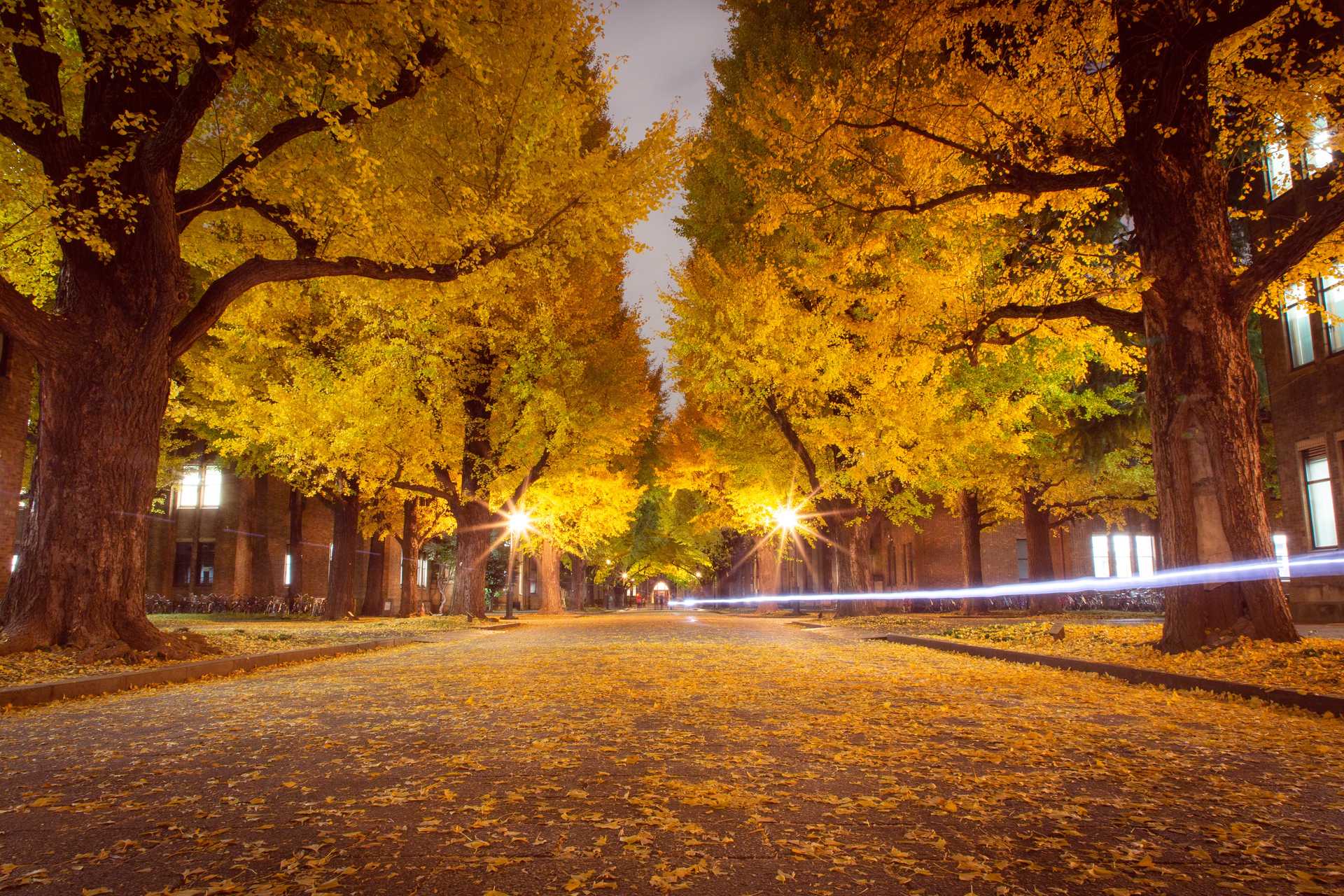 UTokyo Campus